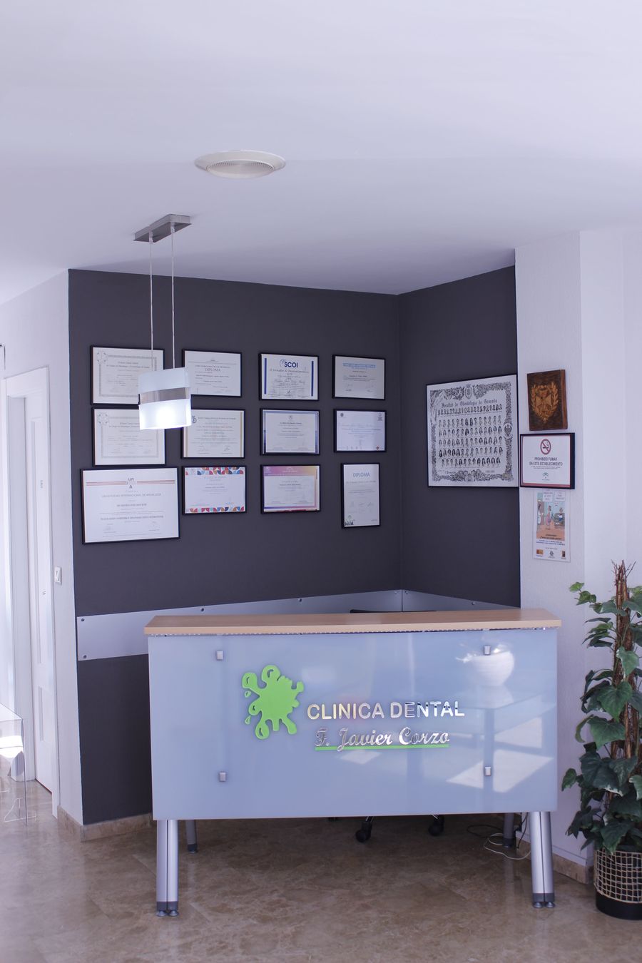 Recepción de la clínica con el logotipo verde en el mostrador y la pared de diplomas detrás