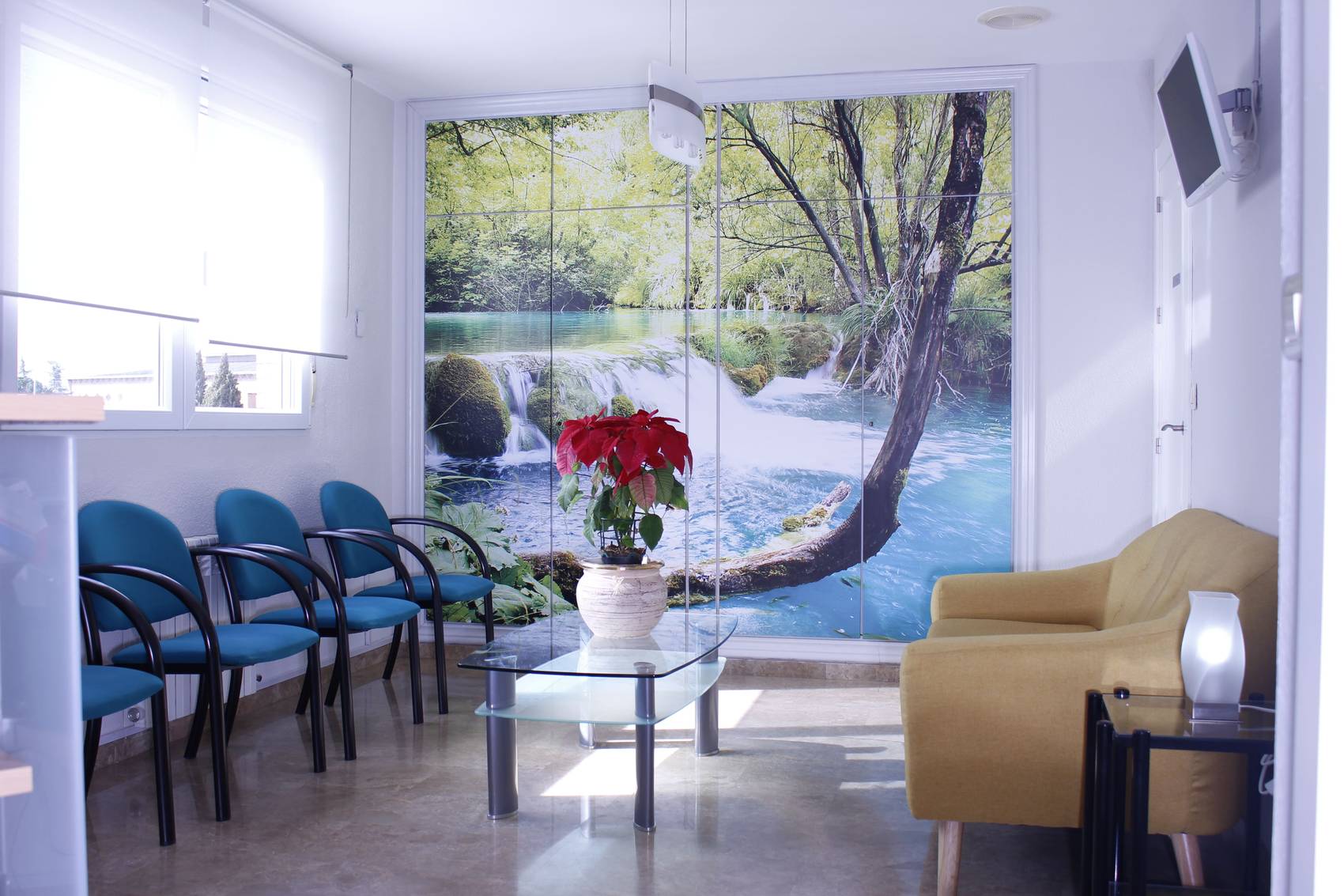 Sala de espera de la Clínica Dental Javier Corzo, con un mural de bosque y cascada